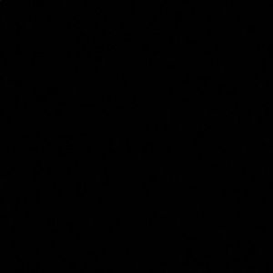 Meet your Posher, Maddie